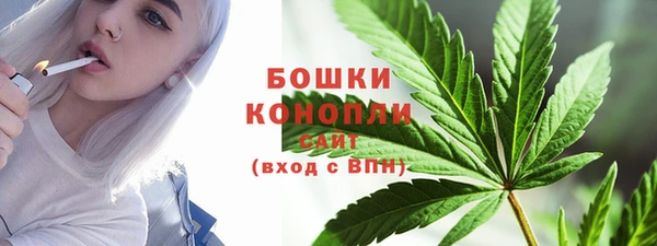 Альфа ПВП Верея