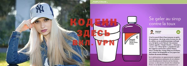 Альфа ПВП Верея