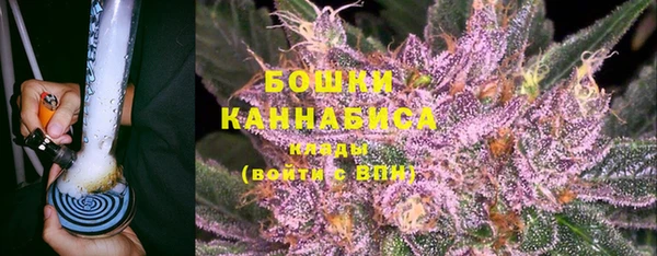 Альфа ПВП Верея