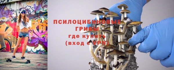 Альфа ПВП Верея