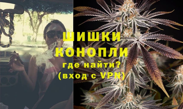Альфа ПВП Верея
